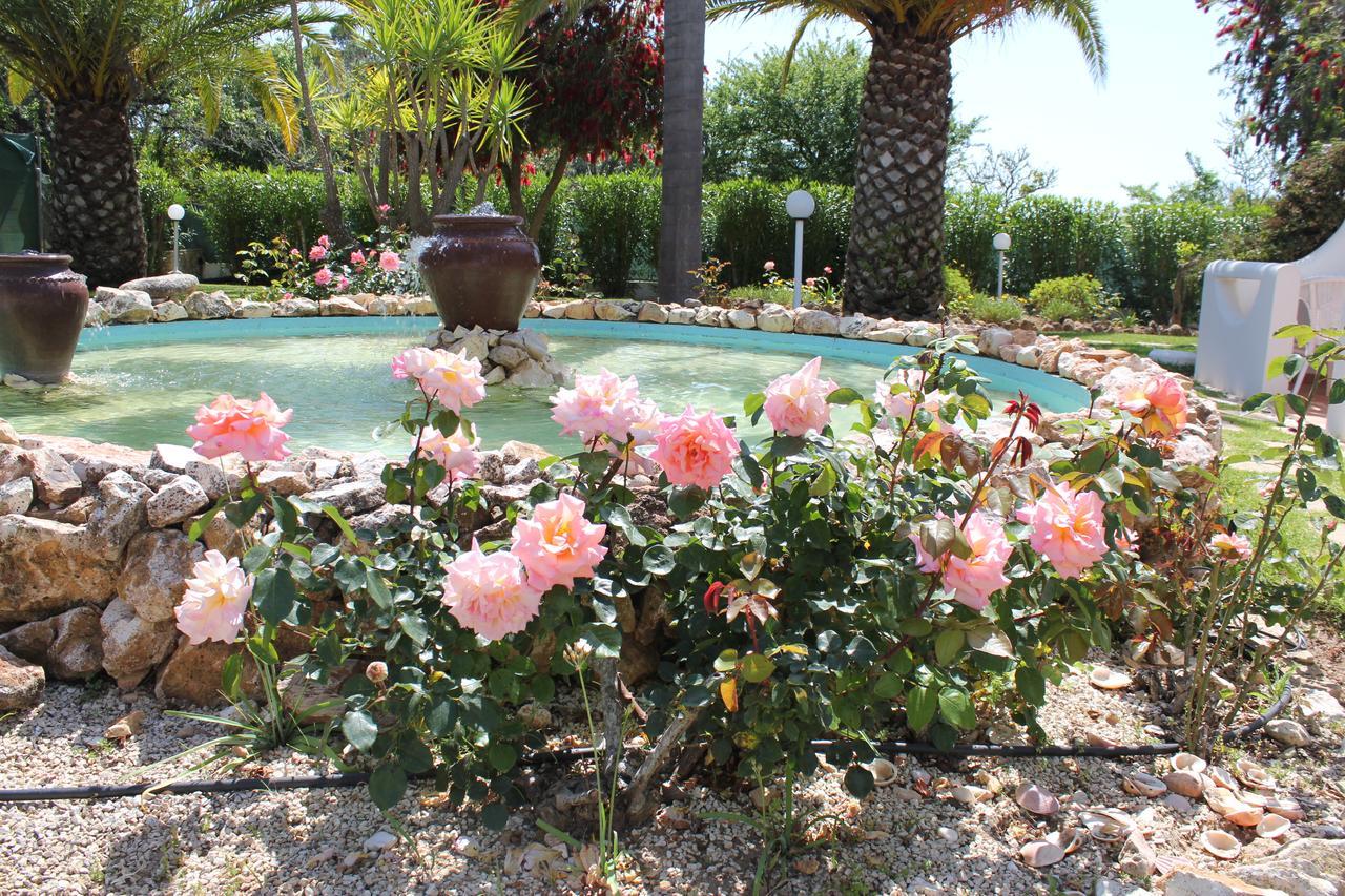 Quinta Dos Oliveiras Acomodação com café da manhã Carvoeiro  Exterior foto